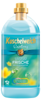 Kuschelweich Weichspüler Emotions 2 Liter