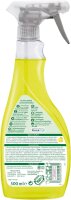 Frosch Dusche & Bad-Reiniger Citrus, 500ml