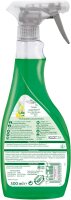 Frosch Glas-Reiniger Spiritus 500 ml