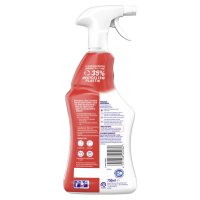 Sagrotan Küchenreiniger 2in1 spritzige Zitrone 750ml