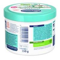 Dr. Beckmann Putzstein 550g